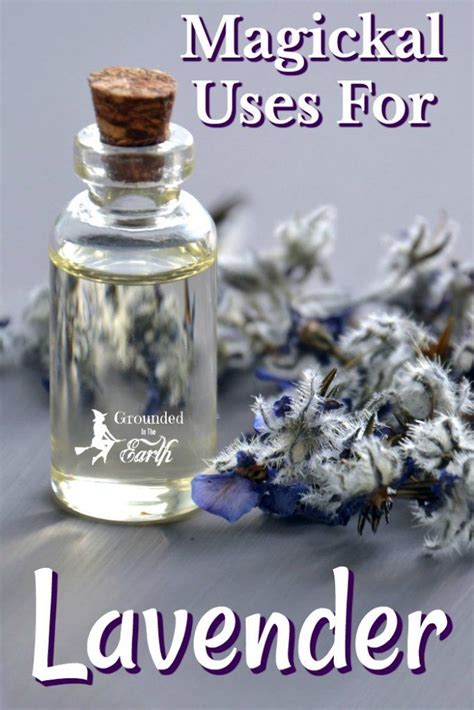 Magidal uses of lavendwr